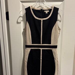 Elegant Black and Tan Dress